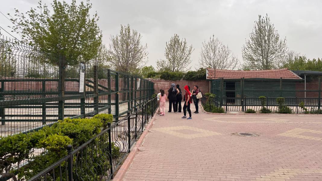 Belgesel Tadında Bir Hafta Sonu İçin Yeni Rota! Burada Yok Yok! 3